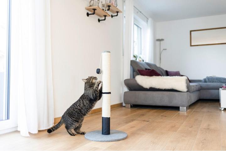 Actual product image Kerbl Opal Pro (80 cm, Black, Grey)