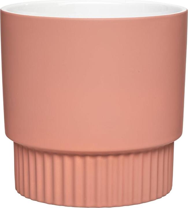 pfister Janne (19 cm)