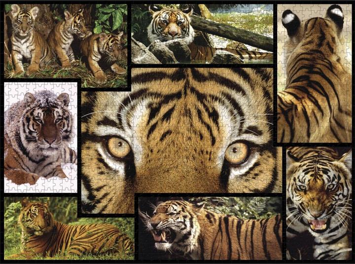 Produktbild WWF Tiger-Puzzle (1000 Teile)