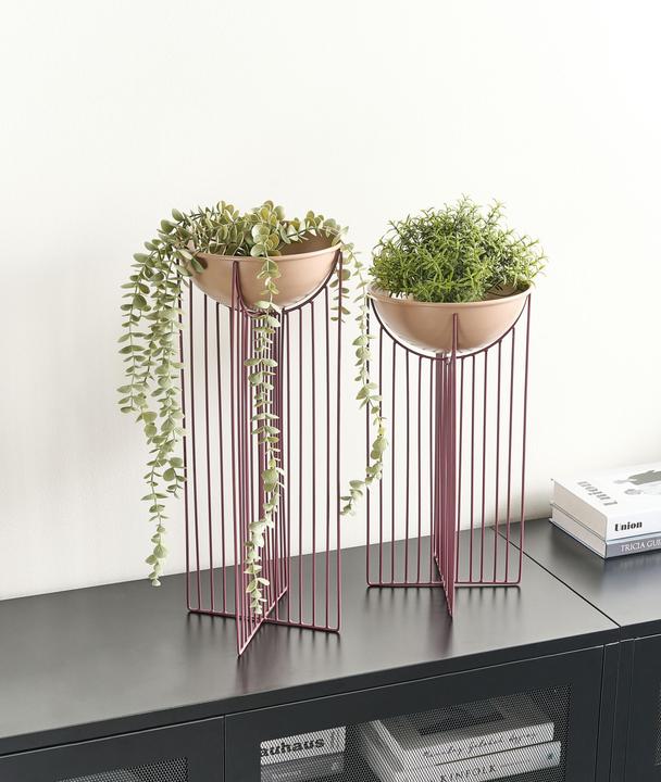 Produktbild Beliani Ficaria (22 x 55 cm)