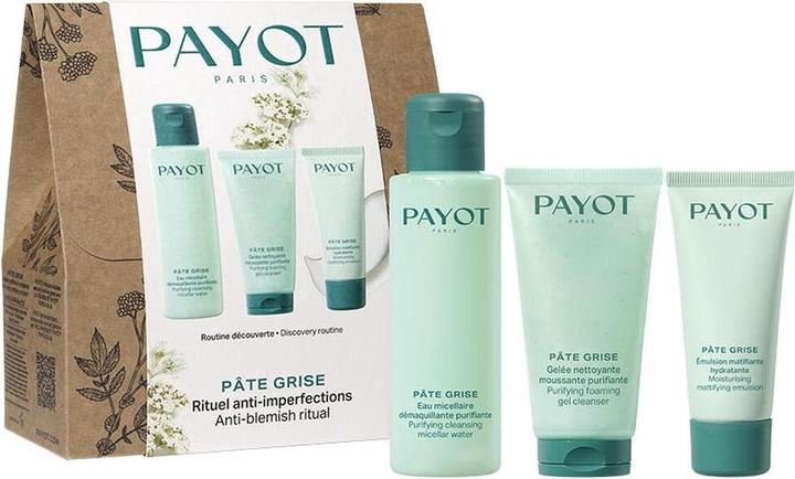 Actual product image Payot Paris Payot Pâte Grise Rituel Pureté (100 ml)
