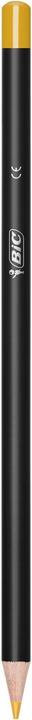 Actual product image Bic Color pencils Intensity (Assorted, 12 x)