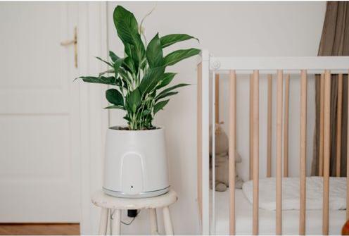 Actual product image Vitesy Natede Smart (36 m²)
