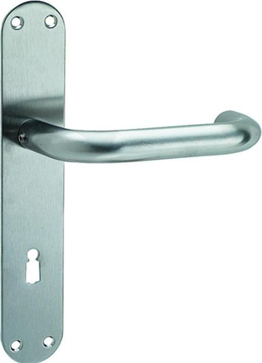 Actual product image Nickal Handle sets (Door set)