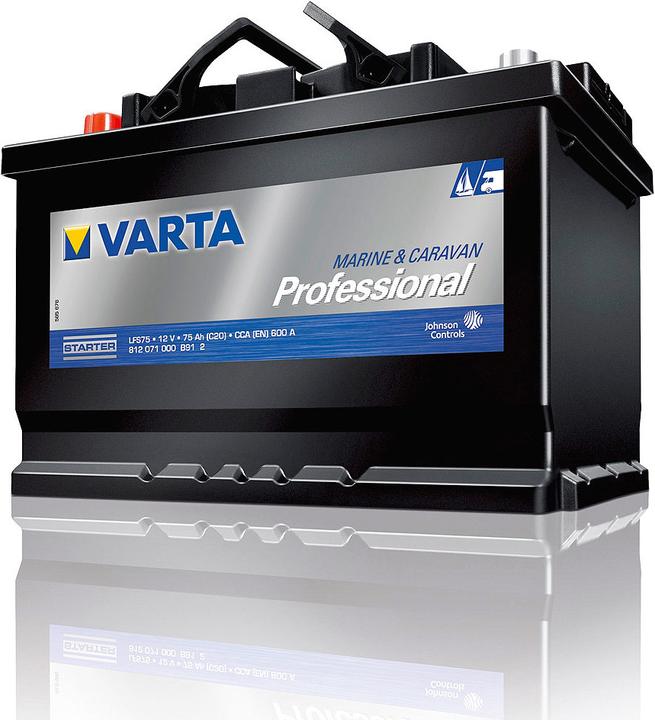 Varta Professional Starter LFS (75 Ah, 600 A, 12 V)