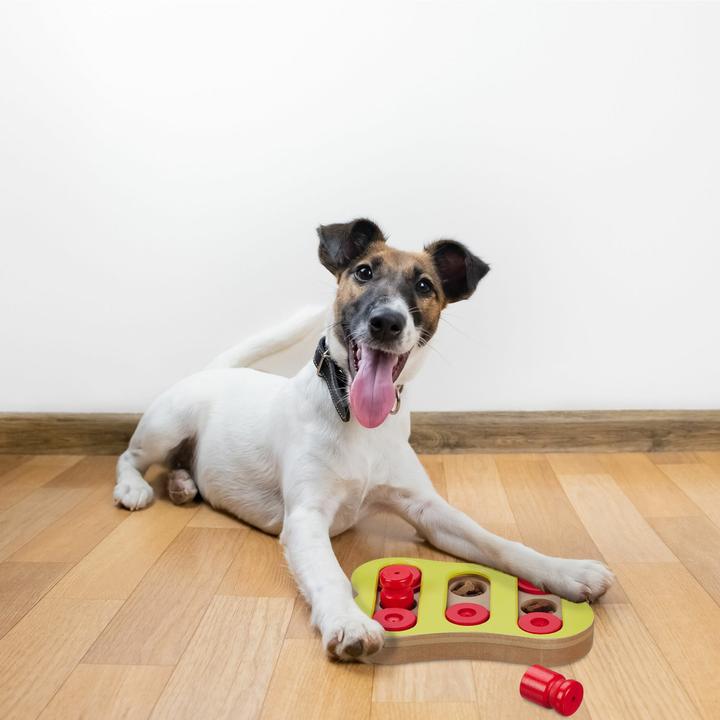 Image du produit Relaxdays Jouets intelligents pour chiens (Jouet intelligent chien)