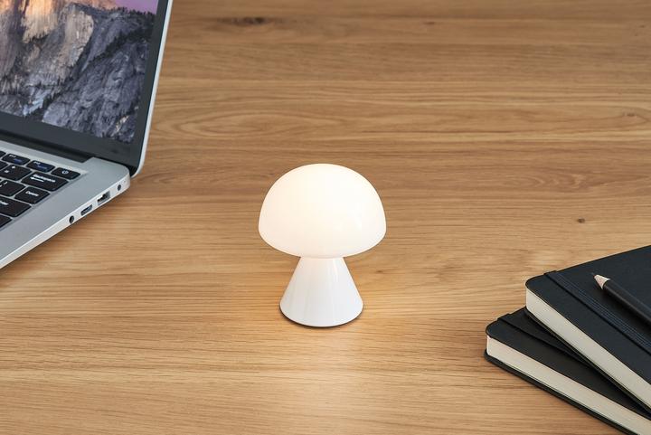 Actual product image Lexon Mina