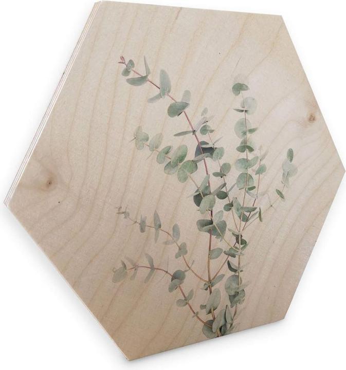 Produktbild Trenddeko Eukalyptuszweig (25 x 22 cm)