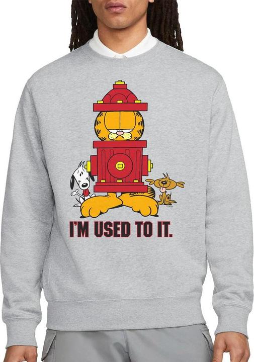 Immagine prodotto Garfield I'm Used to It Felpa Adulto Unisex (L)