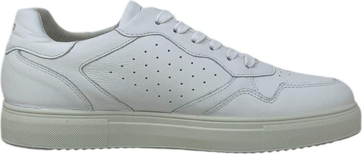 Image du produit Igi&co Sacha (43)