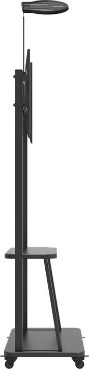 Produktbild Techly Boden-TV-Halter für TV (60 kg, 12" - 70")