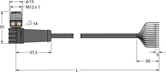 Actual product image Turck Connection cable (5 m)