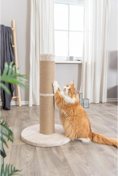 Image du produit Trixie Rue (80 cm, Beige)