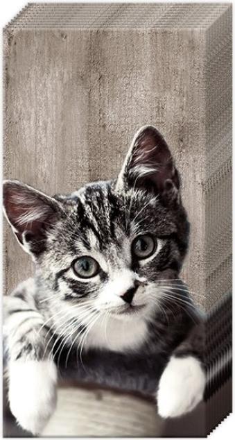 Actual product image IHR Taschentuch Kasimir Katze