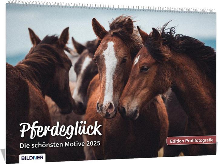Actual product image Haas:Horse calendar 2025 Horse happiness! (A3)