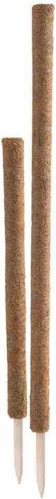 Immagine prodotto Siena Garden Rankstab (110 cm, 4.50 cm)