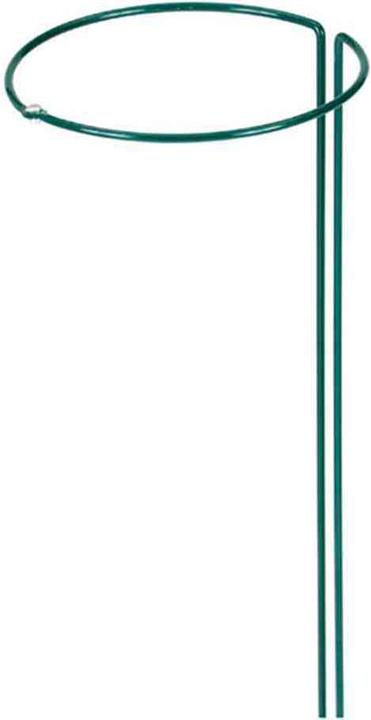 Actual product image Siena Garden Shrub support (70 cm, 30 cm)