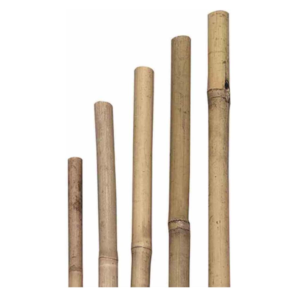Siena Garden, Pflanzen Zubehr, Pflanzstab (180 cm, 1.60 cm) - Shopping.com
