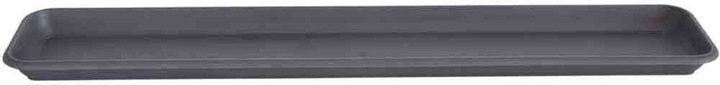 Charcoal