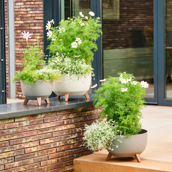Produktbild Siena Garden Oslo (25 cm)
