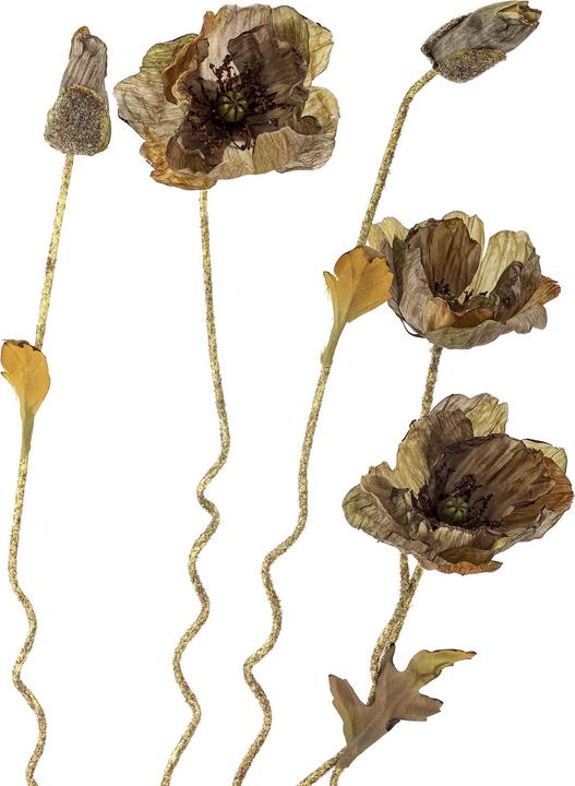 Immagine prodotto Bloomingville Poppy (104 cm)