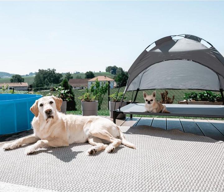 Produktbild Kerbl Vacation Top (Hund)