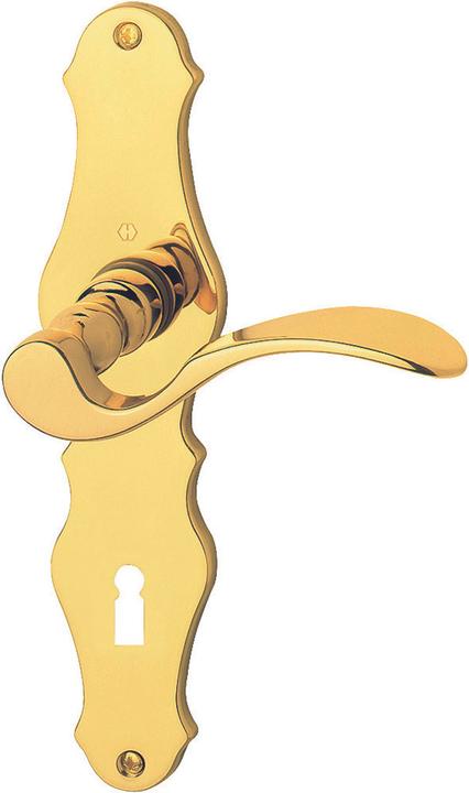 Actual product image Hoppe Munich