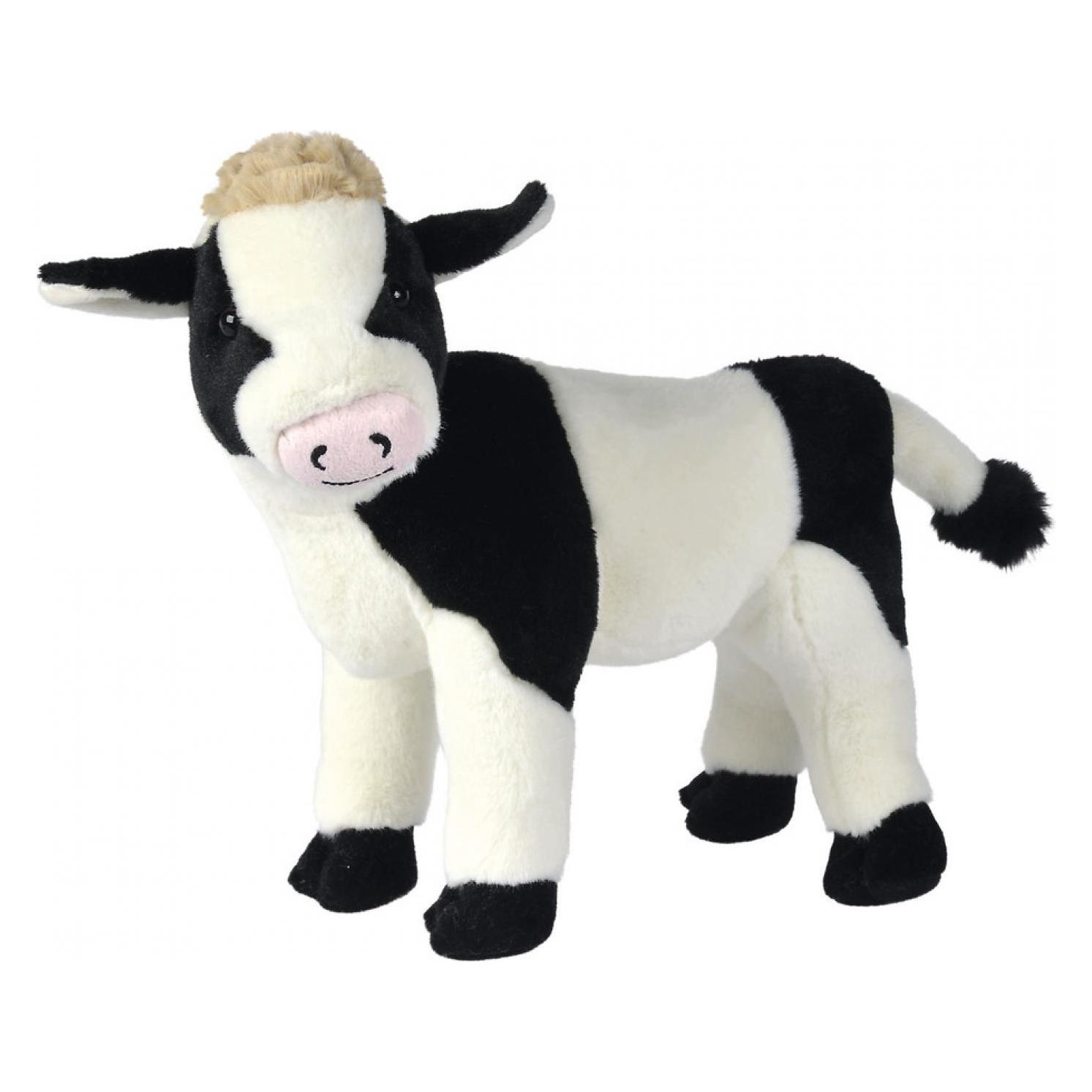 Nicotoy Koe (36 cm)