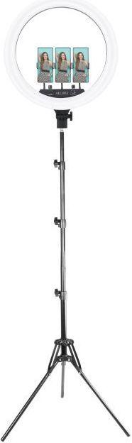Old Shark 18" LED Ringleuchte & 210 cm Stativ (Ringlicht)