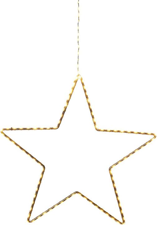 Image du produit STT Étourneau javanais