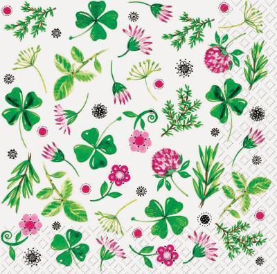 Image du produit Stewo Serivette (20 pcs, 33 x 33 cm)