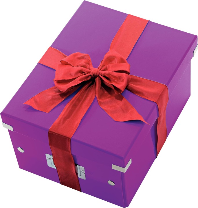 Immagine prodotto Leitz Wow Click & Store Storage Box (A4)