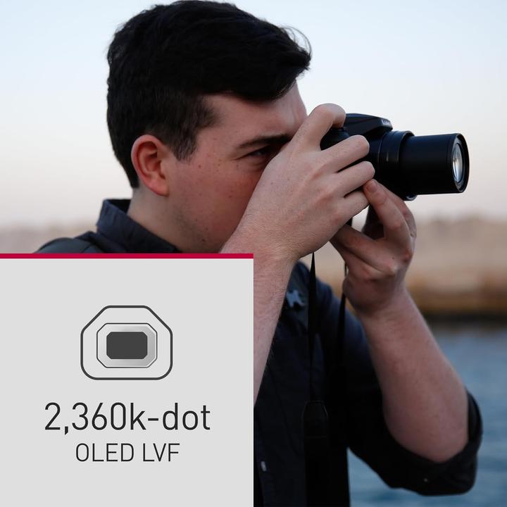 Actual product image Panasonic Lumix FZ82D (3.58 - 214.8 mm, 18.10 Mpx, 1/2,3'')