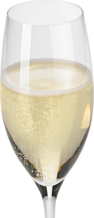 Image du produit WMF Set de 6 coupes à champagne Easy Plus, 250ml, verres en cristal, lavables au lave-vaisselle (25 cl, 6 Verres, Verres à vin blanc)