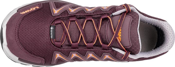 Produktbild Lowa Innox Pro GTX LO (40)