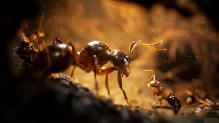 Actual product image astragon Empire of the Ants PS-5 L.E. (PS5)