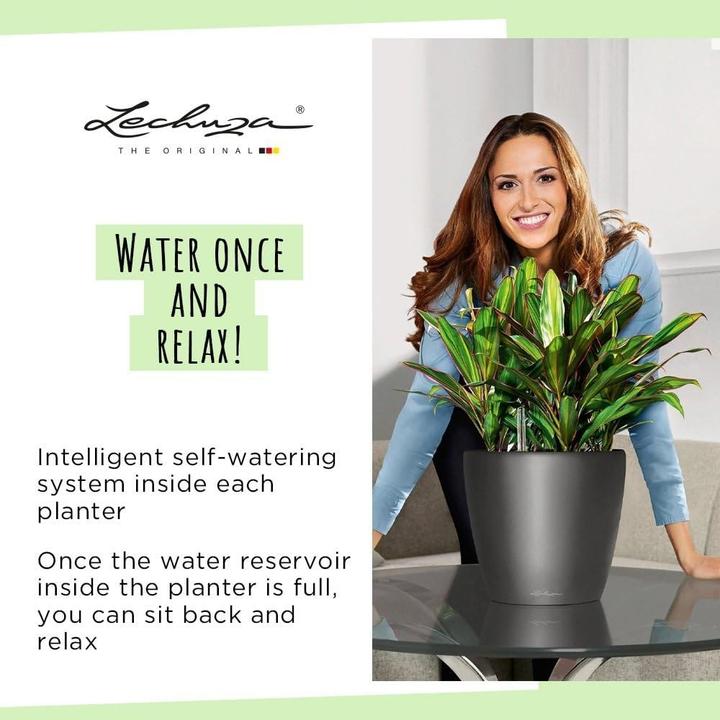 Image du produit Lechuza Classico (43.50 x 39.50 cm)