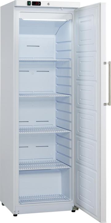 Scandomestic GUR390W (293 l)