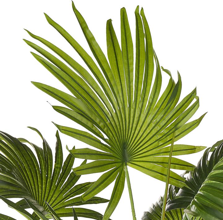 Immagine prodotto Beliani Fan Palm (100 cm)