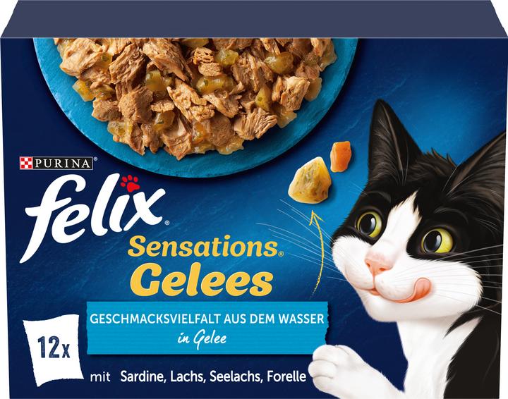 Produktbild Felix Gelée Fisch (Adult, 12 Stk., 1160 g)