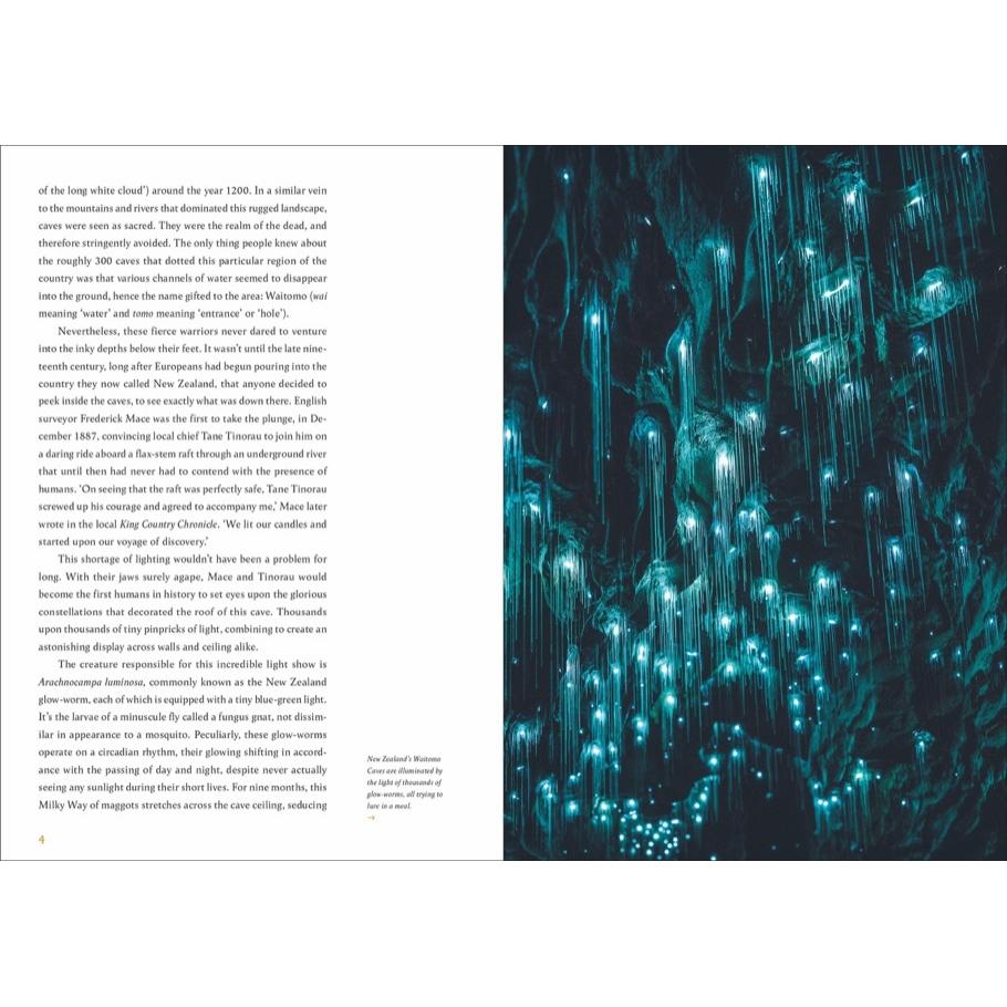 Thumbnail - Subterranea, Sachbücher von Chris Fitch