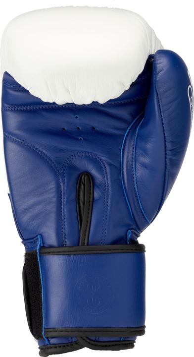 Actual product image Sting Sports Orion Boxing Gloves Blue (10 OZ)