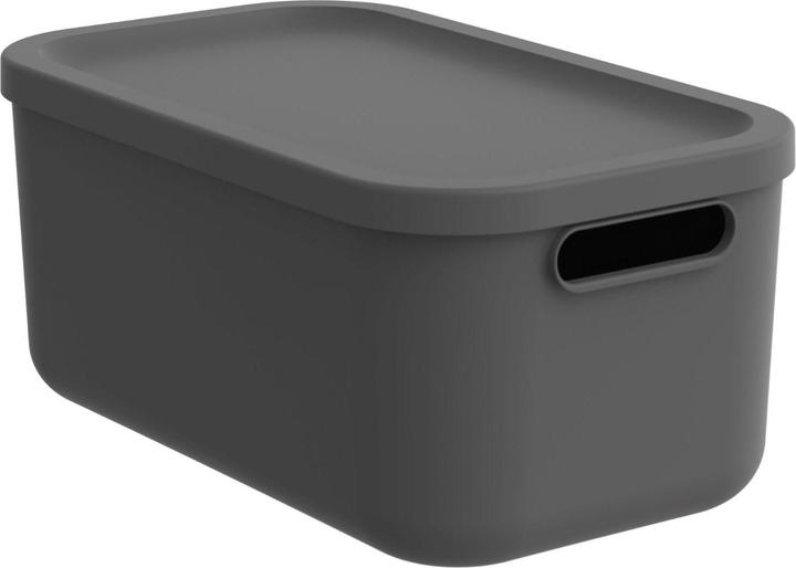 Immagine prodotto Rotho Scatola portaoggetti (23.50 cm, 12 l)