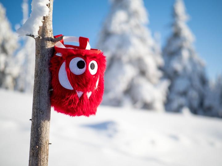 Actual product image Crafty Climbing Tangerine Foodie Monster Chalk Bag