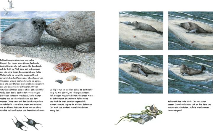 Produktbild Abenteuer Küste (Deutsch, Barbara Veit-Mayall, Ute Martens, 2017)