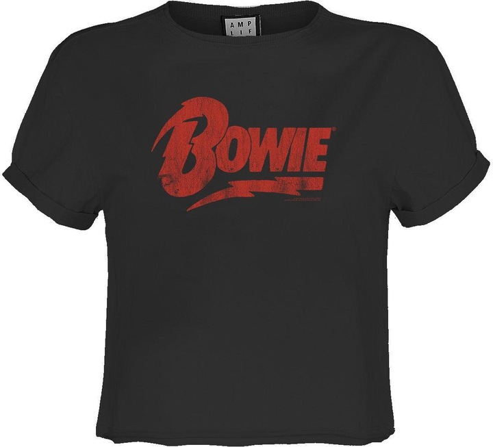 Actual product image Amplified TShirt Logo (XS)