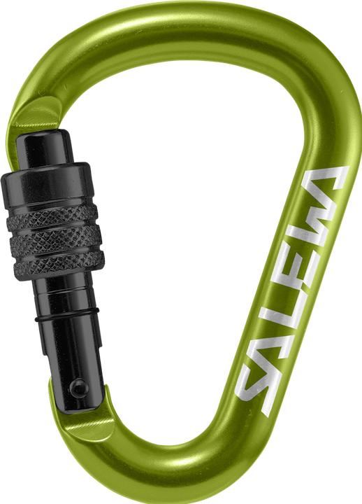 Image du produit Salewa Mousqueton HMS Screw G2