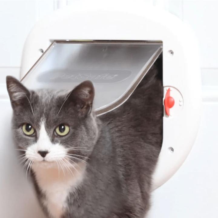 Produktbild Staywell Katzentüren 201 (Manuelle Katzenklappe)