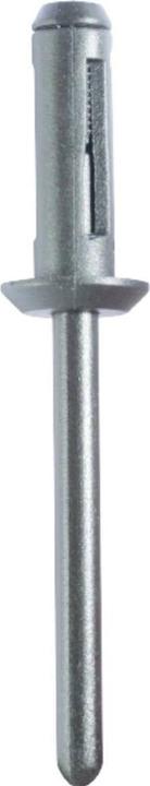 Actual product image KS Tools Blind rivet connection clip for GM, pack of 50