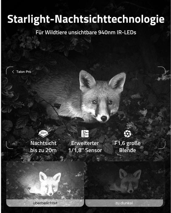 Actual product image Reolink Camovue Talon Pro wildlife camera
